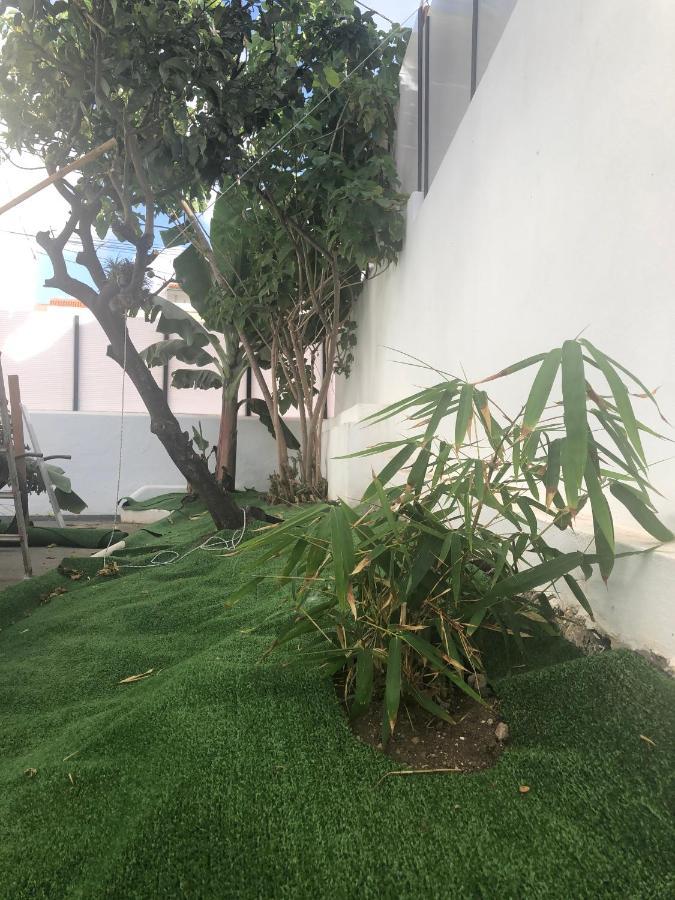 Casa Antigua La Embajada Villa Tejina Kültér fotó
